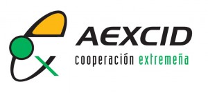 01 Logo version Color Positivo_aexcid