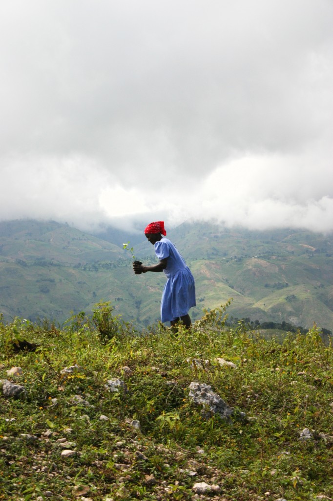 SEMILLAS DE CAMBIO PARA ESTAS NAVIDADES