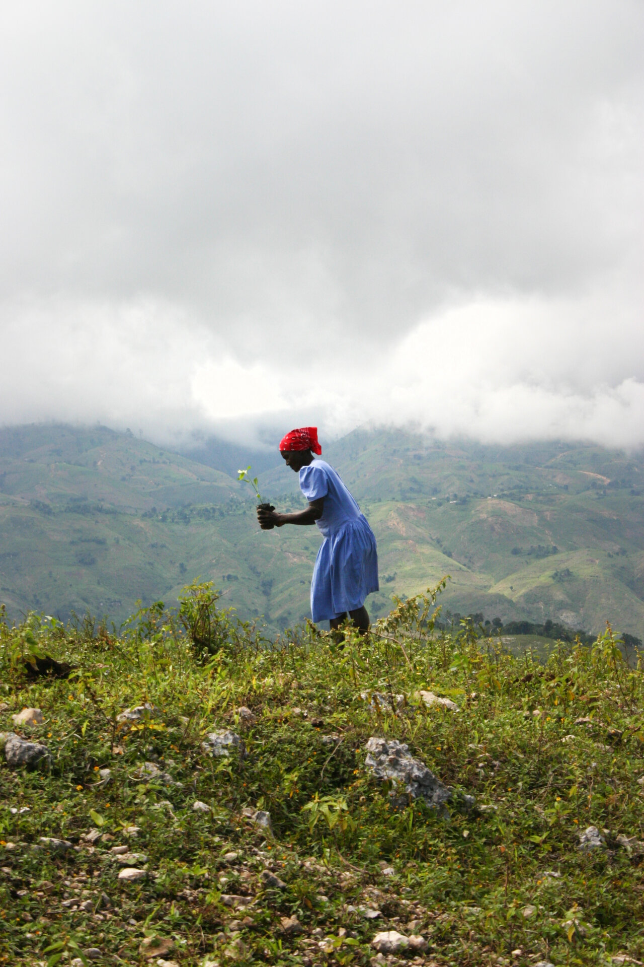 SEMILLAS DE CAMBIO PARA ESTAS NAVIDADES