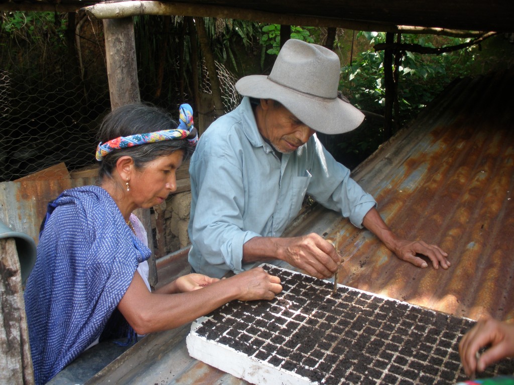 Oferta de empleo: Técnico Expatriado de Proyectos para El Salvador
