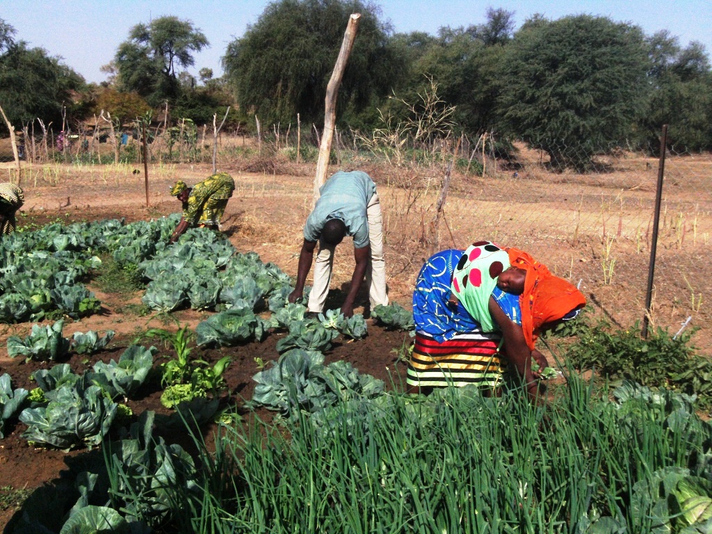 Noticias de actualidad de África