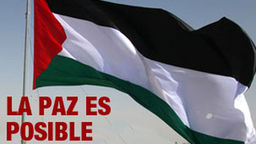 Comunicado de la Coordinadora de ONGD ante la escalada militar de Israel en Palestina