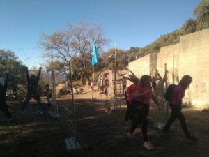 WhatsApp Image 2017 11 19 at 15.49.03