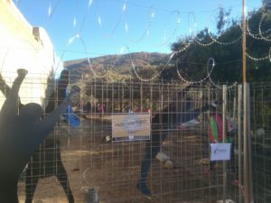 WhatsApp Image 2017 11 19 at 16.03.09