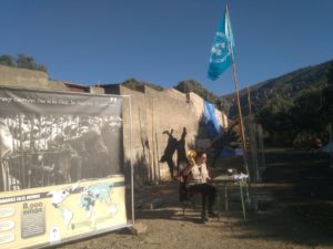 WhatsApp Image 2017 11 19 at 16.03.29