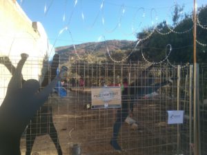 WhatsApp Image 2017 11 19 at 16.03.53