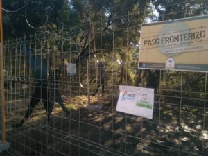 WhatsApp Image 2017 11 19 at 16.03.55