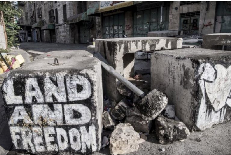 POBLACIÓN PALESTINA REFUGIADA_#DESPLAZADASPORELMUNDO