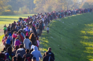 Captura de pantalla 2018 11 08 10.18.56