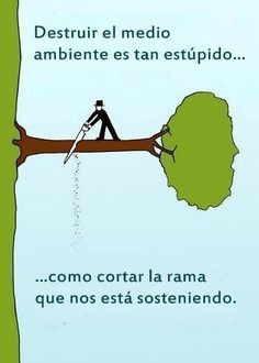 Día del medioambiente, camino hacia la sostenibilidad de la vida