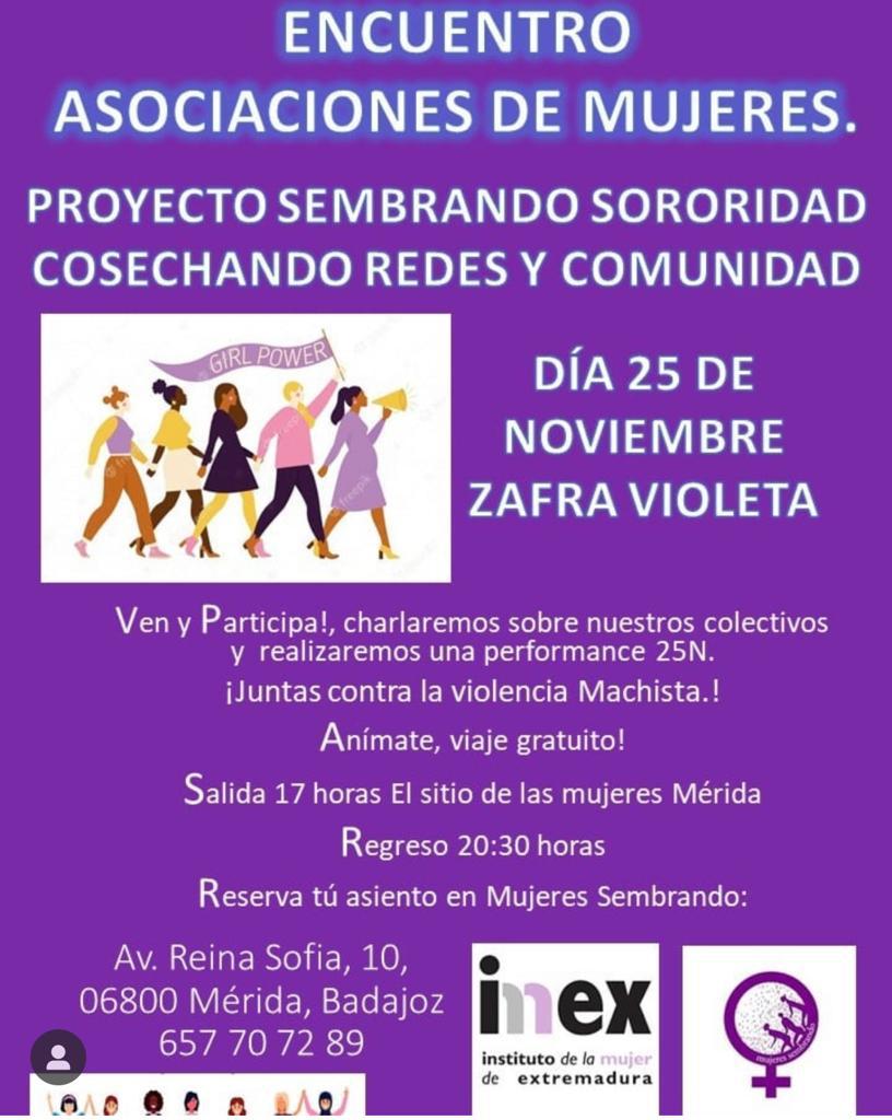 Zafra Violeta Merida