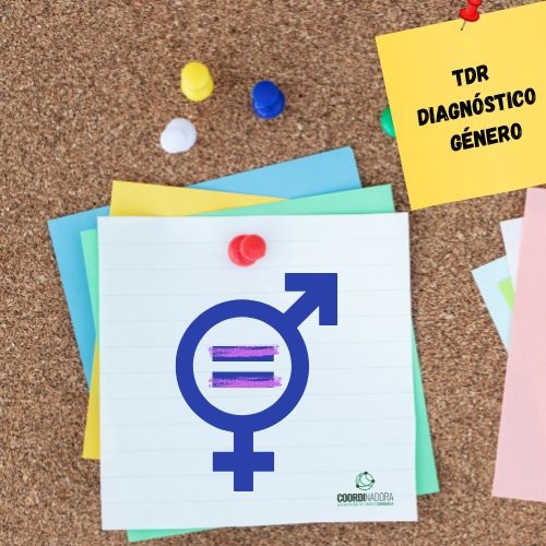 TDR CONGDEX: CONTRATACIÓN SERVICIO TÉCNICO PARA ELABORACIÓN DIAGNÓSTICO GÉNERO