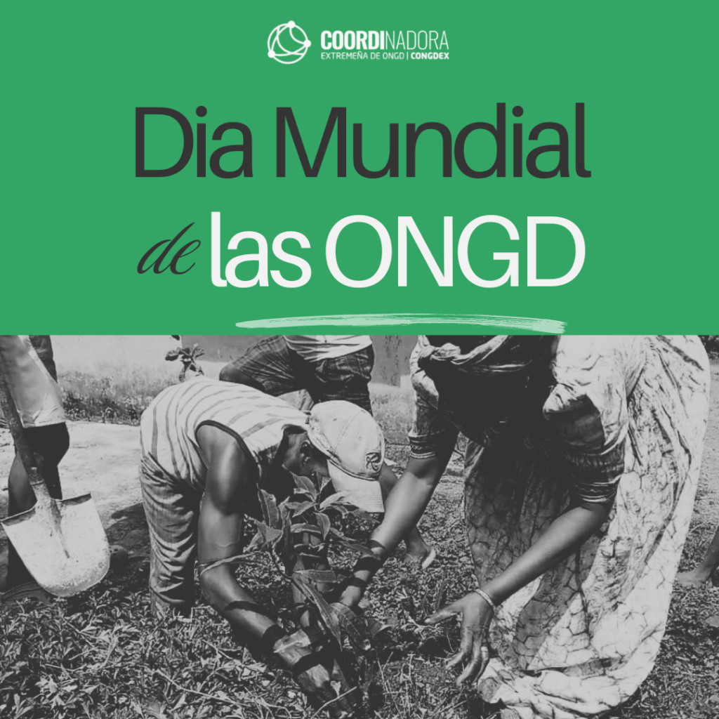 27 de febrero | Día Mundial de las ONG