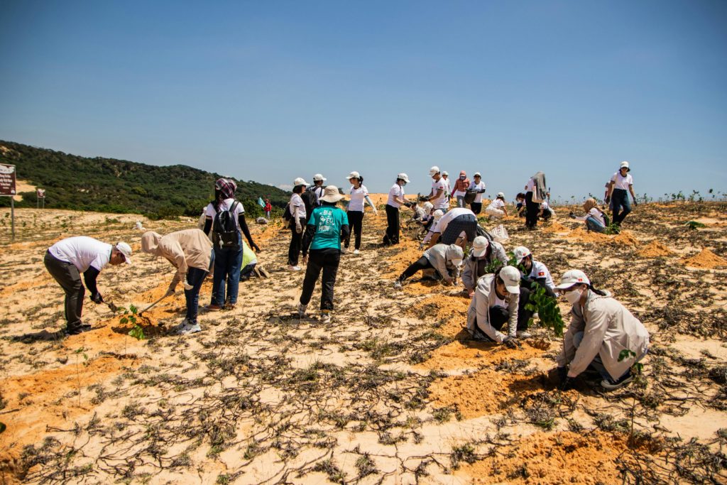 La primavera extremeña… ¿también despierta tus ganas de voluntariado internacional?