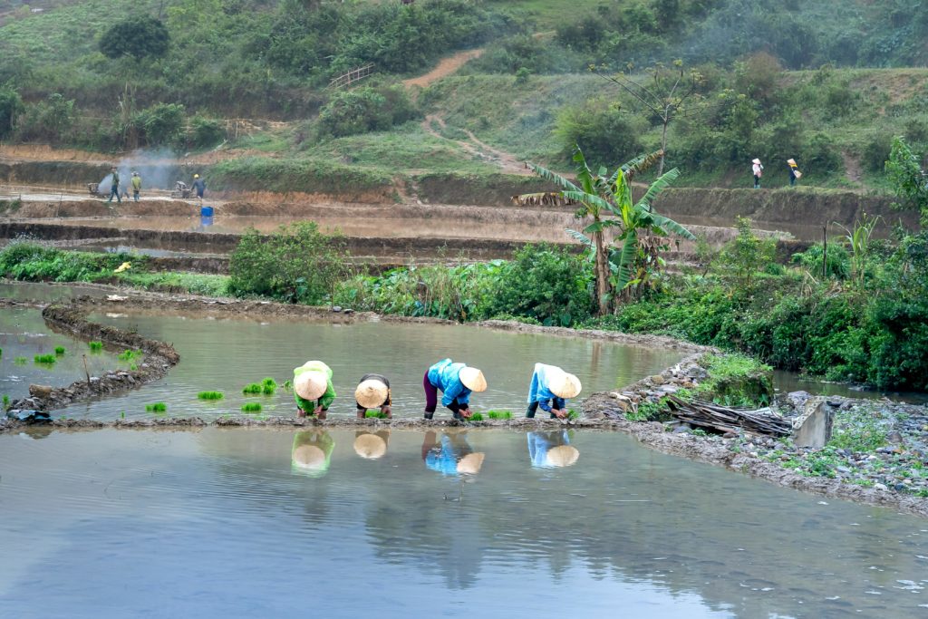 NOTA DE PRENSA: CONGDEX alerta sobre el Proyecto de Decreto del Registro de Agentes de la Cooperación Extremeña