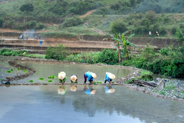 NOTA DE PRENSA: CONGDEX alerta sobre el Proyecto de Decreto del Registro de Agentes de la Cooperación Extremeña