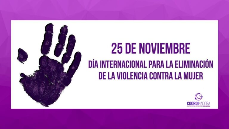 25N Día internacional para la eliminación de la violencia contra la mujer