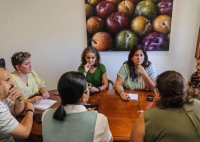 C Incidencia Politica 5