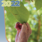 portada memoria 2022